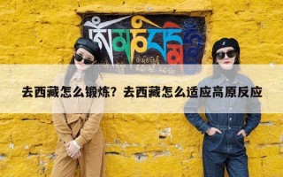 去西藏怎么锻炼？去西藏怎么适应高原反应