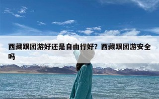 西藏跟团游好还是自由行好？西藏跟团游安全吗