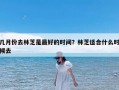 几月份去林芝是最好的时间？林芝适合什么时候去