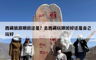 西藏旅游跟团还是？去西藏玩跟团好还是自己玩好