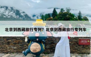 北京到西藏旅行专列？北京到西藏旅行专列车