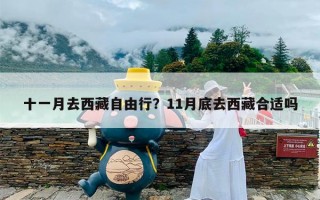 十一月去西藏自由行？11月底去西藏合适吗