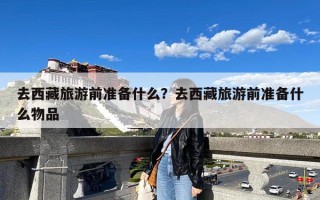 去西藏旅游前准备什么？去西藏旅游前准备什么物品