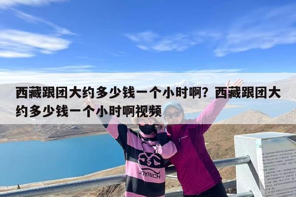 西藏跟团大约多少钱一个小时啊?西藏跟团大约多少钱一个小时啊视频