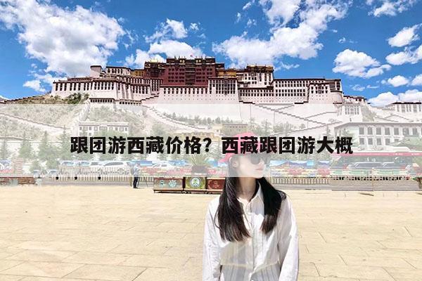 跟团游西藏价格?西藏跟团游大概