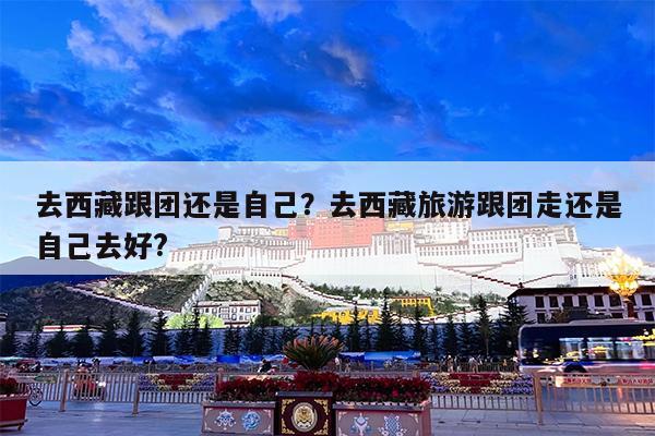 去西藏跟团还是自己?去西藏旅游跟团走还是自己去好?
