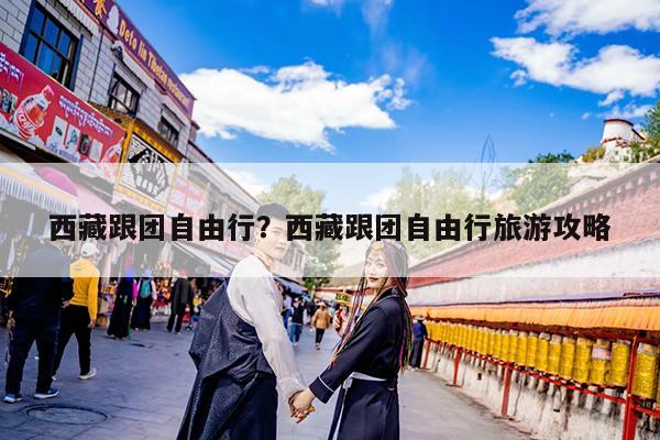 西藏跟团自由行?西藏跟团自由行旅游攻略