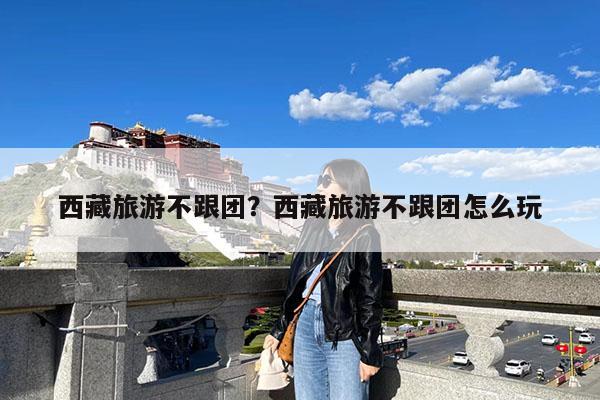 西藏旅游不跟团?西藏旅游不跟团怎么玩