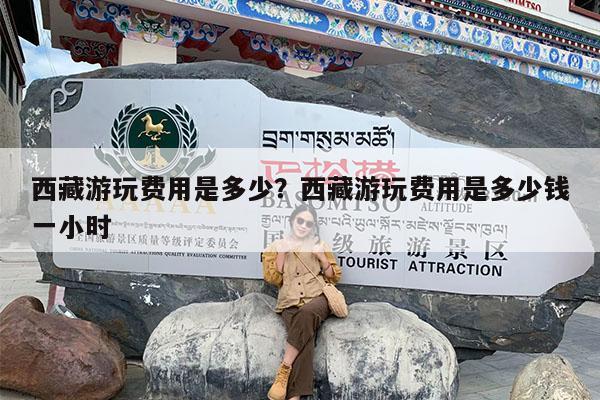 西藏游玩费用是多少?西藏游玩费用是多少钱一小时