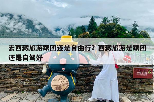 去西藏旅游跟团还是自由行?西藏旅游是跟团还是自驾好