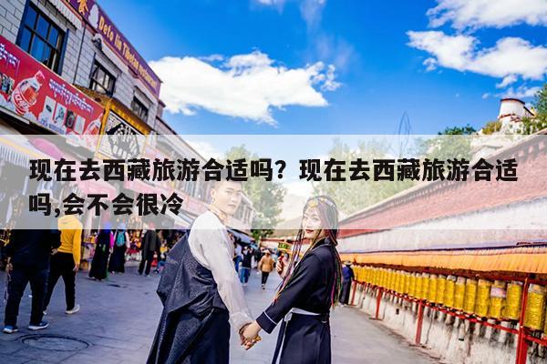 现在去西藏旅游合适吗?现在去西藏旅游合适吗,会不会很冷