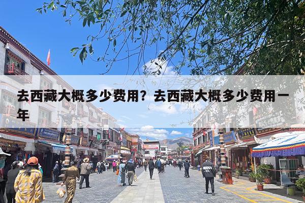 去西藏大概多少费用?去西藏大概多少费用一年