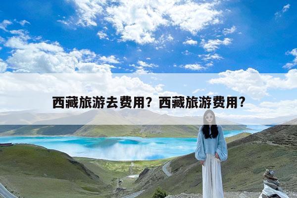 西藏旅游去费用?西藏旅游费用?