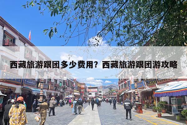 西藏旅游跟团多少费用?西藏旅游跟团游攻略
