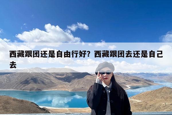 西藏跟团还是自由行好?西藏跟团去还是自己去