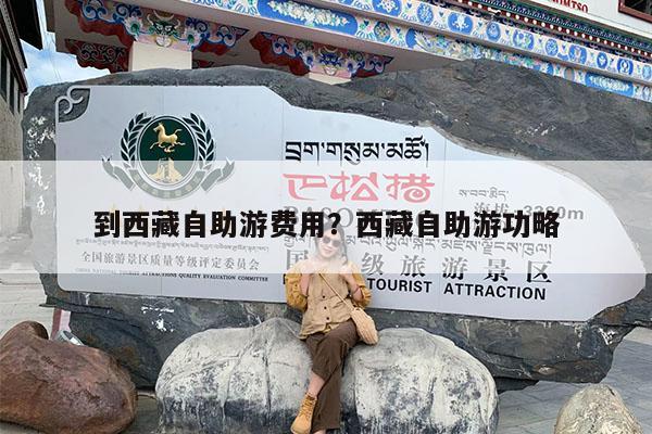 到西藏自助游费用?西藏自助游功略
