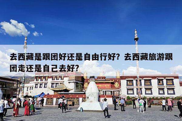 去西藏是跟团好还是自由行好?去西藏旅游跟团走还是自己去好?