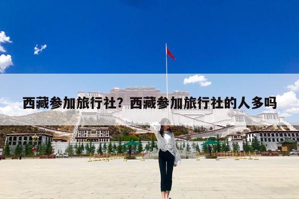 西藏参加旅行社?西藏参加旅行社的人多吗